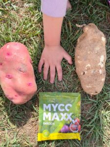 MycoMaxx Garden mycorrhizal fungi helps many garden veggies