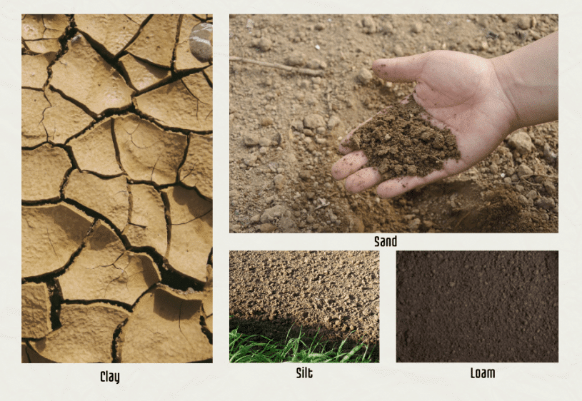 graphic of the four soil types sand clay silt and loam
