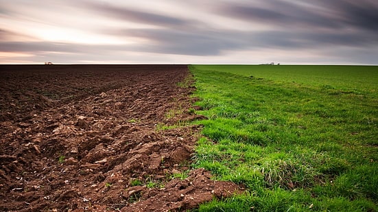 dark loamy soil with grass planted