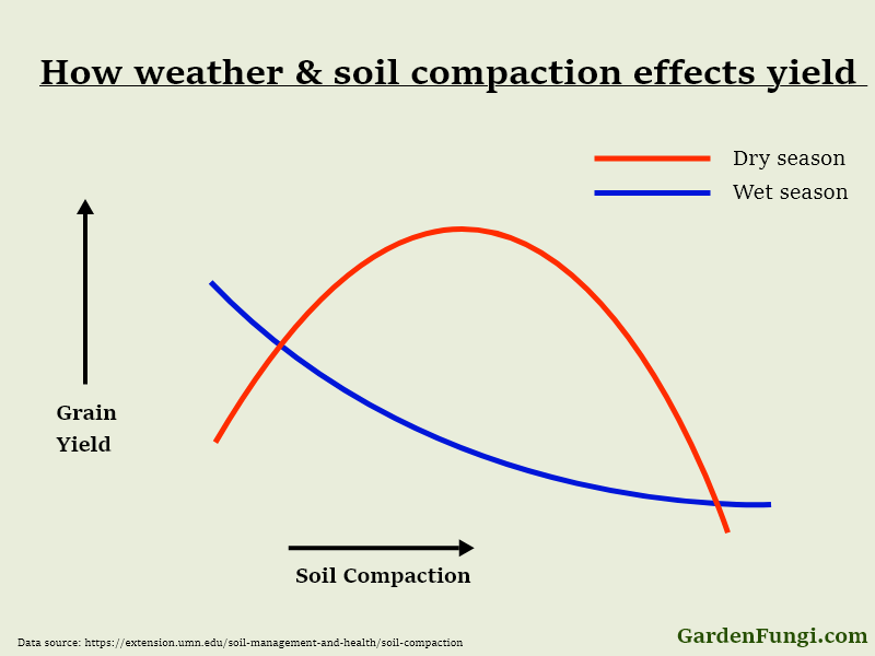 infographic showing the effects of soil compaction with both wet and dry seasons