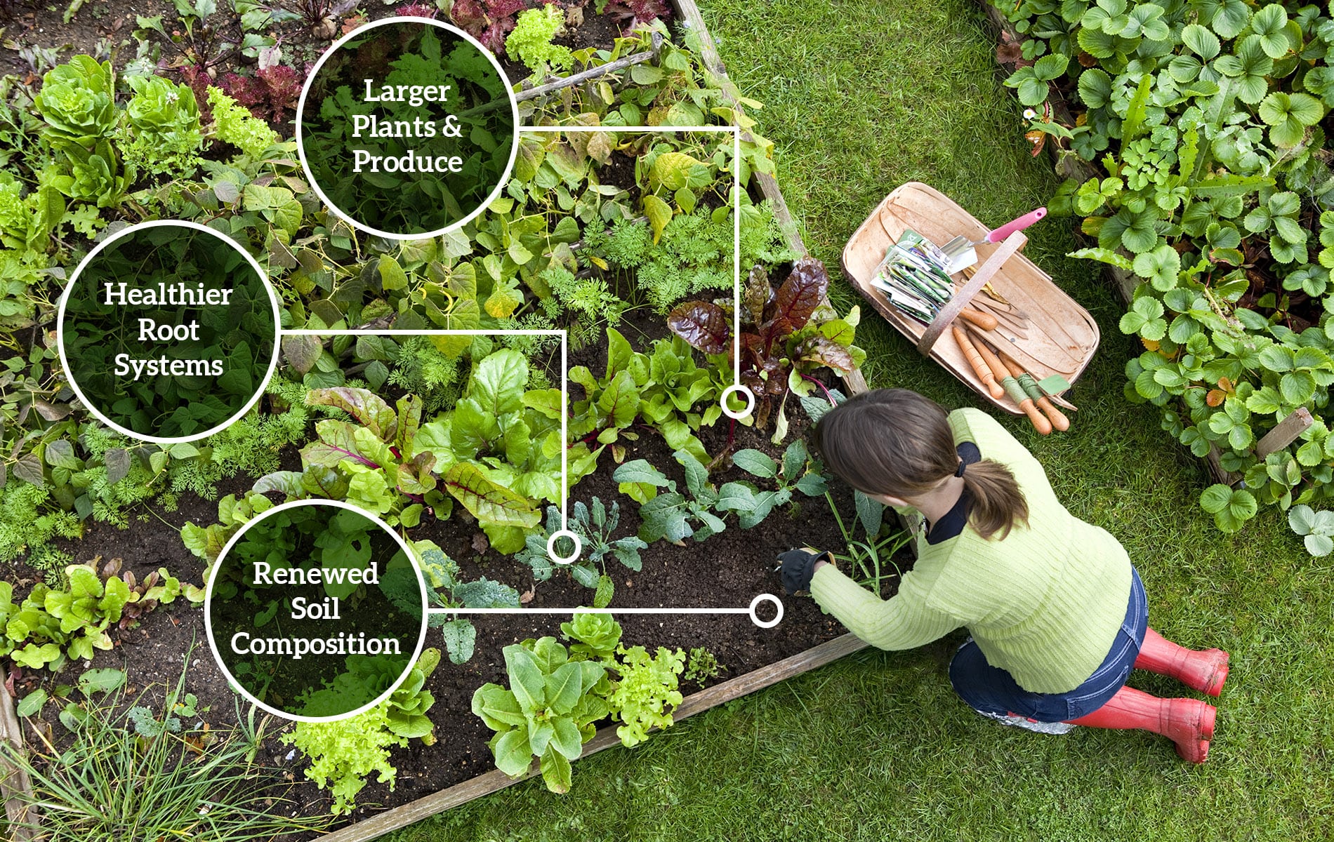 healthy-garden-01-min healthy garden